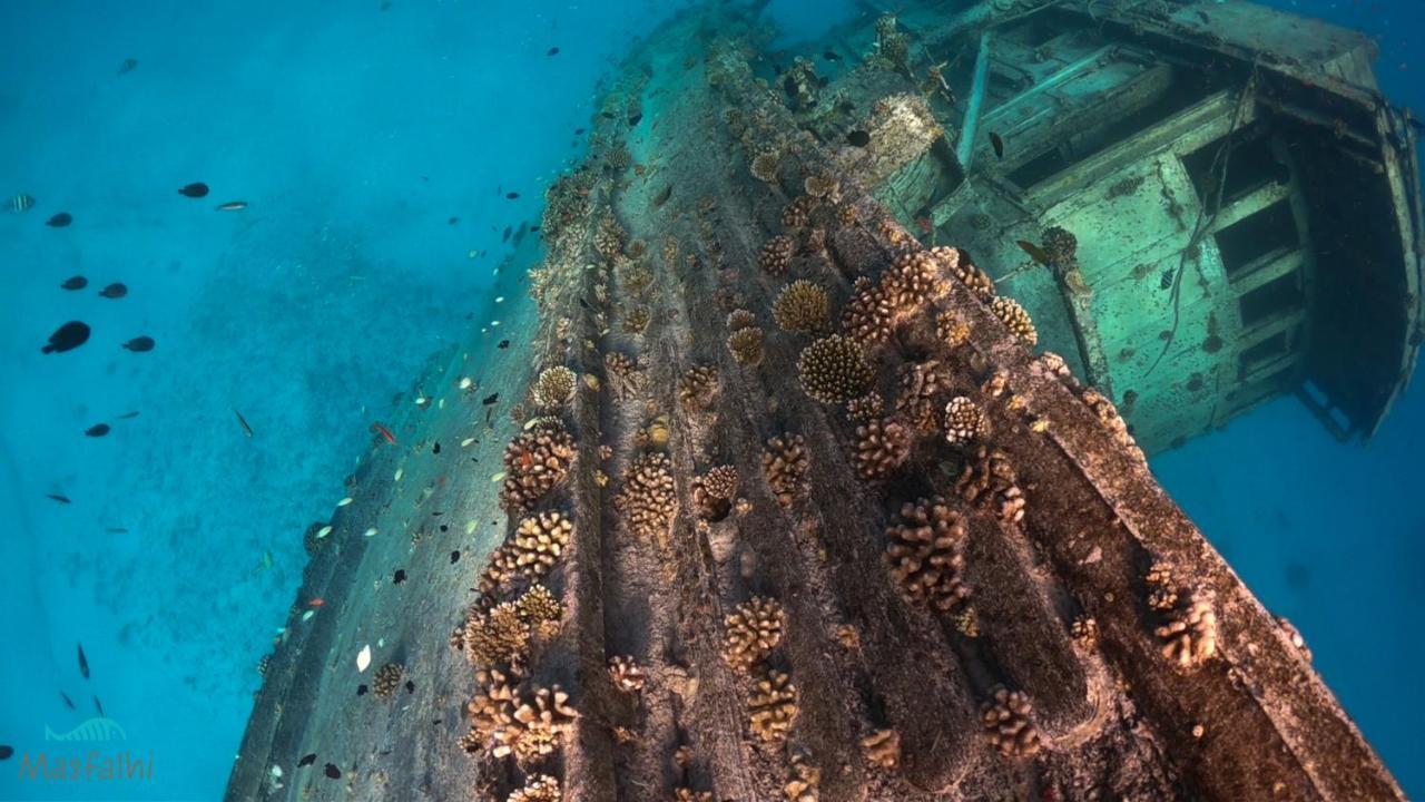 Masfalhi View Inn Felidhoo Buitenkant foto