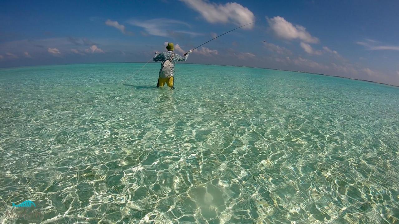 Masfalhi View Inn Felidhoo Buitenkant foto