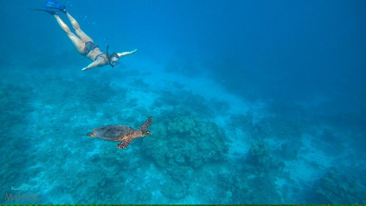 Masfalhi View Inn Felidhoo Buitenkant foto